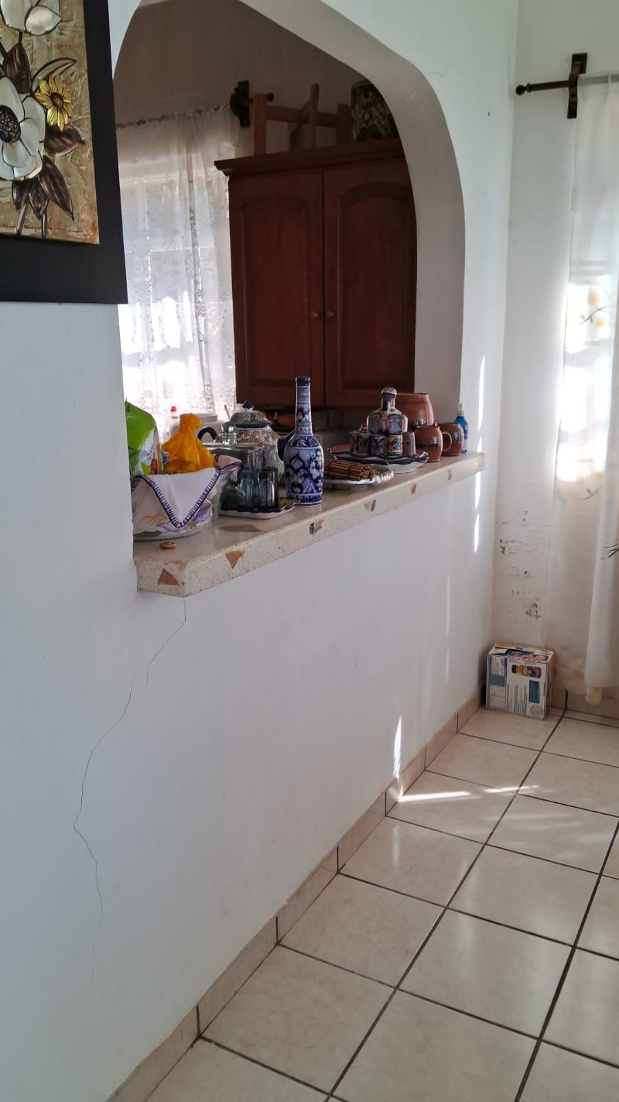 IMG-20241223-WA0006